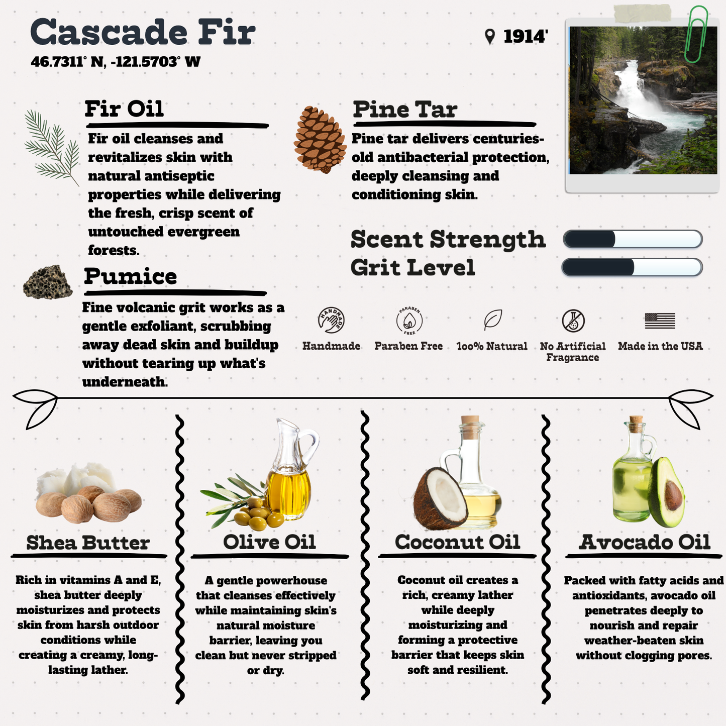 Cascade Fir