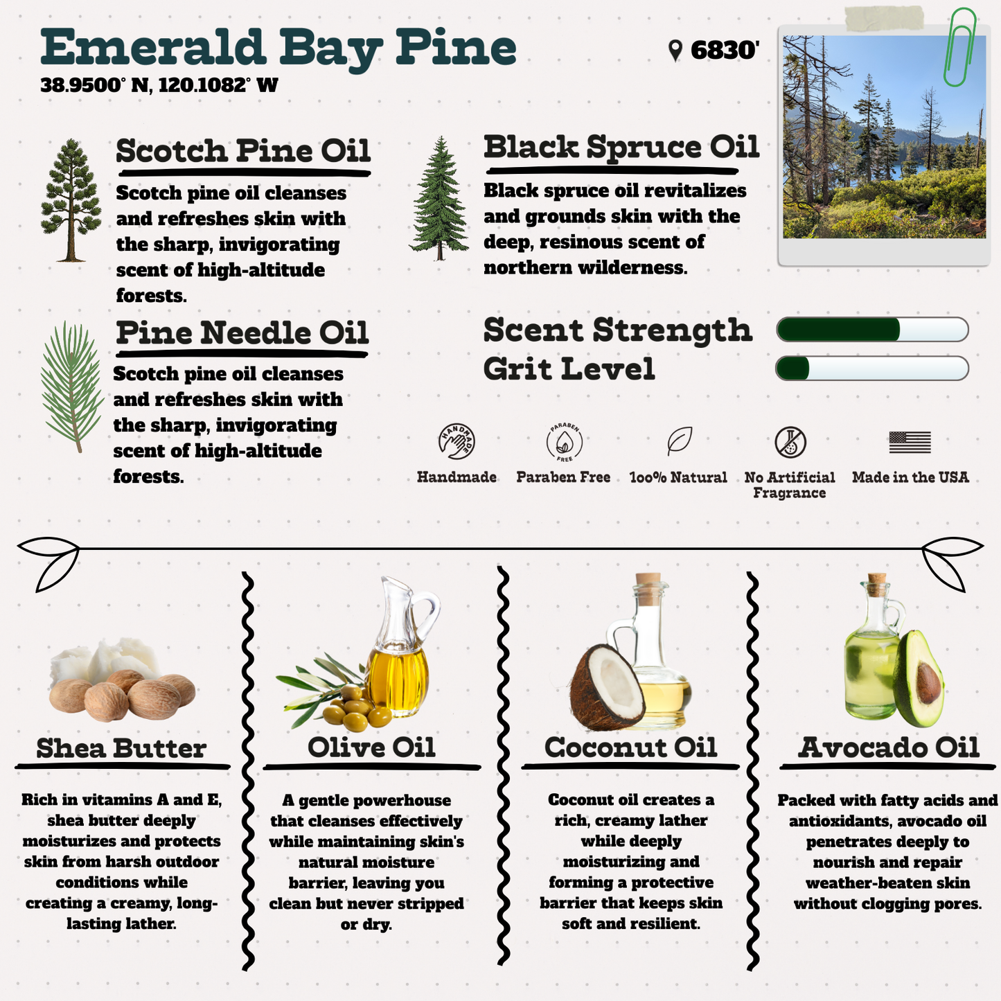 Wild Timber Emerald Bay Pine cold process handmade soap ingredients natural essential oils