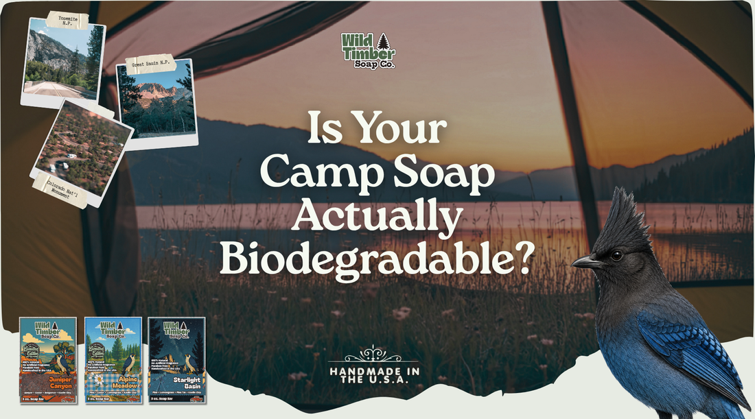 Is Your Camp Soap Actually Biodegradable? What Leave No Trace Really Requires