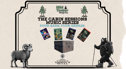 The Cabin Sessions Music Series: Four Bars, Four Genres, One Reason They Work