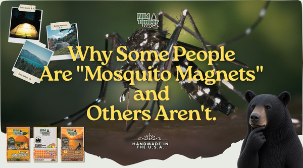 Why Some People Are "Mosquito Magnets" and Others Aren't