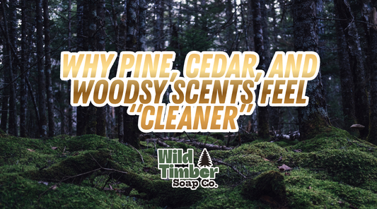 Why Pine, Cedar, and Woodsy Scents Feel “Cleaner”