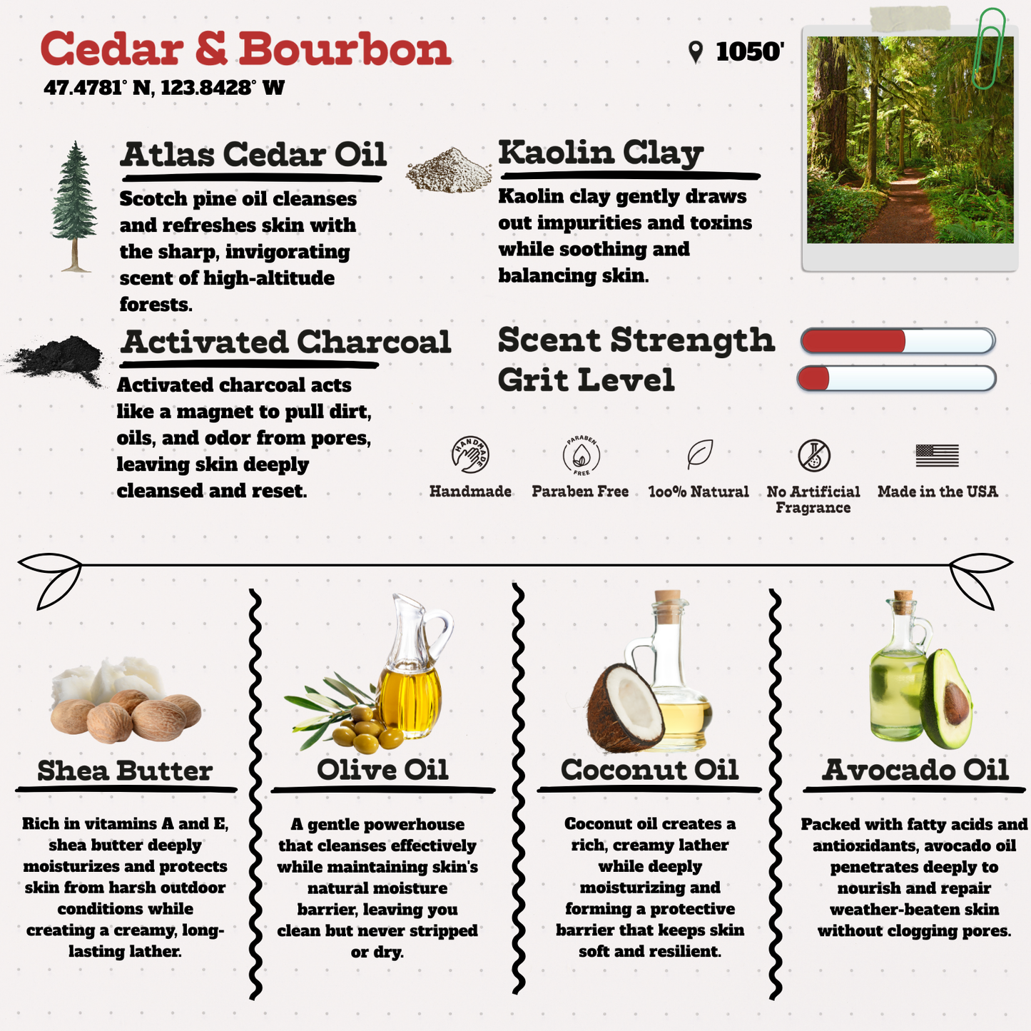 Autumn Ascent Soap Bundle | Natural Soap Inspired by Fall, Mountains, and the Outdoors