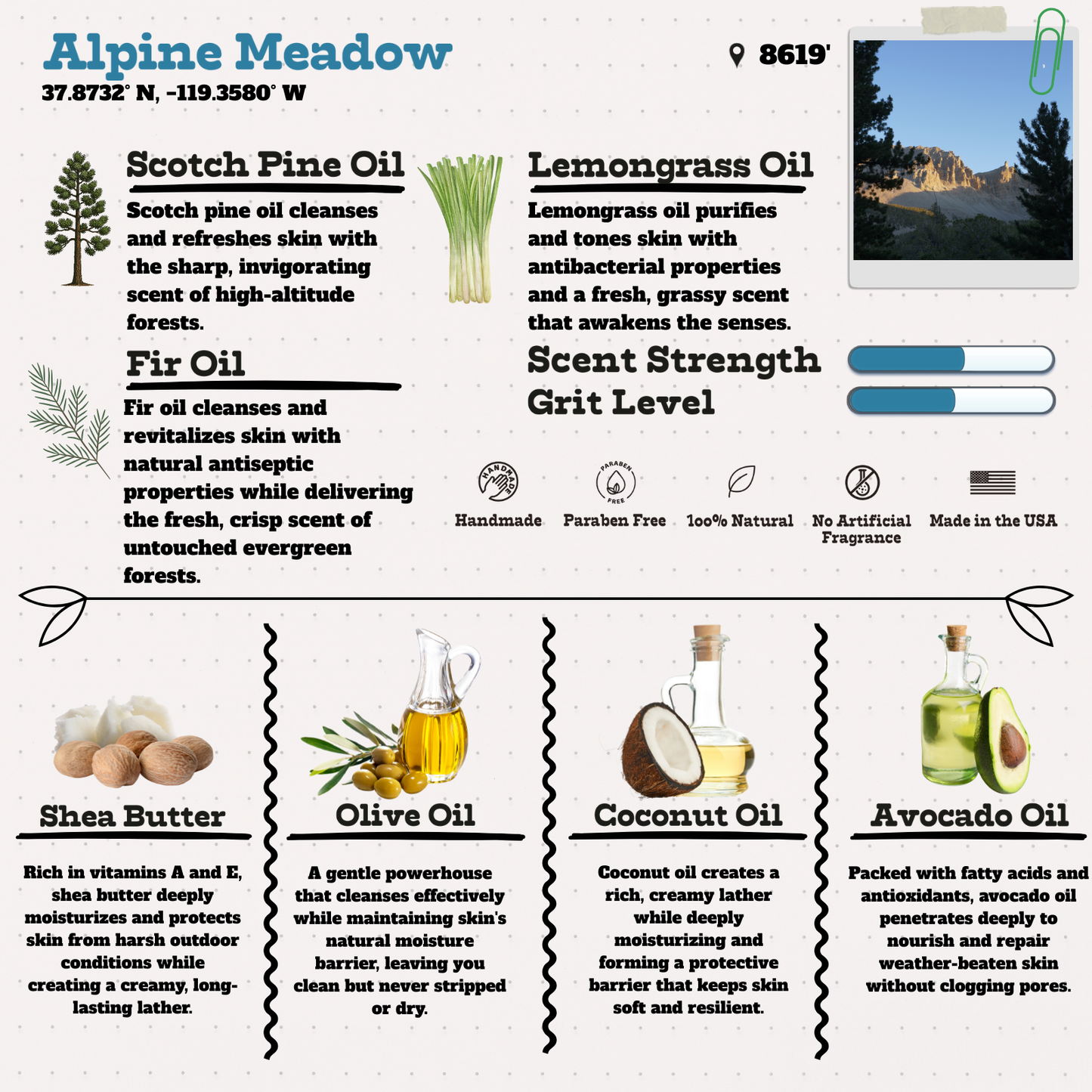 Alpine Meadow - Breathe in the High Country