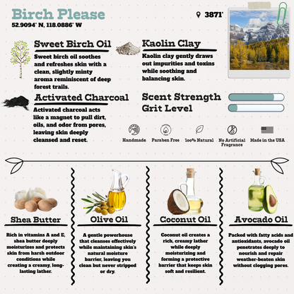 Retro Classics Bundle – Cedar & Bourbon, Birch Please, Twin Pines, Emerald Bay Pine Natural Soap