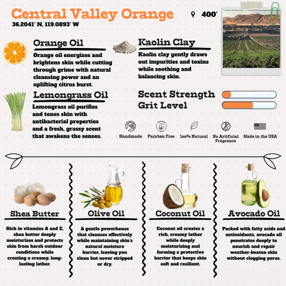 Central Valley Orange - Citrus Groves in Full Bloom