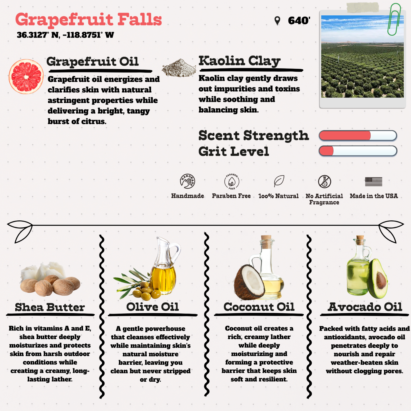 Grapefruit Falls – Bold, Invigorating Grapefruit Citrus Natural Soap Bar