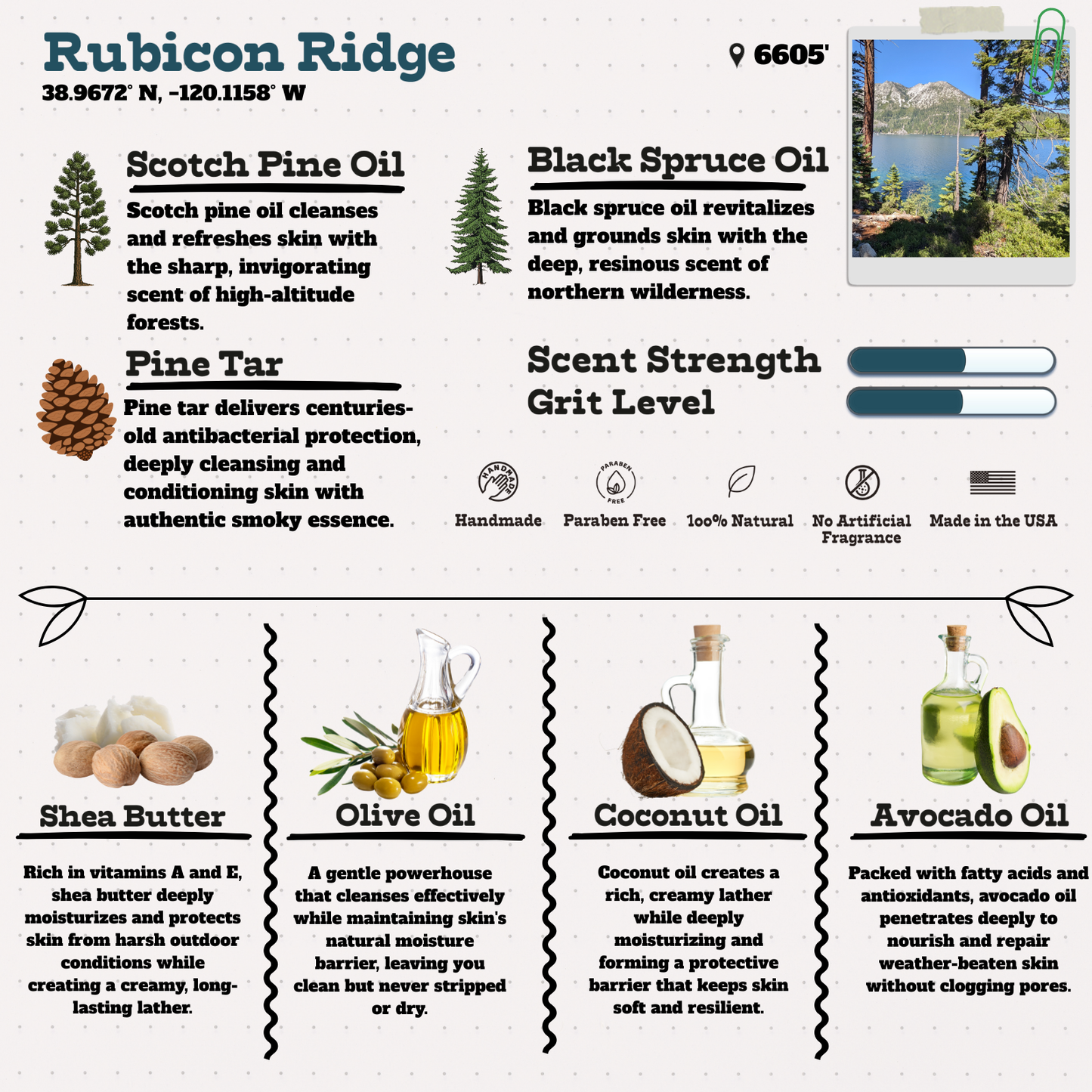 Basecamp Essentials Bundle - Pine Tar, Pine Needle, Black Spruce & Citrus Natural Soap Bar Bundle