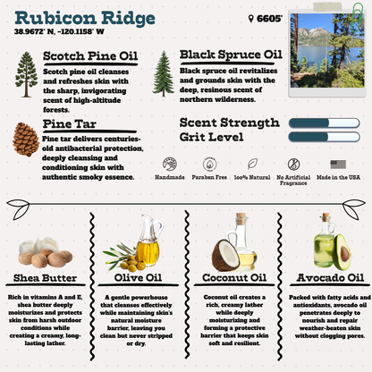 Basecamp Essentials Bundle - Pine Tar, Pine Needle, Black Spruce & Citrus Natural Soap Bar Bundle