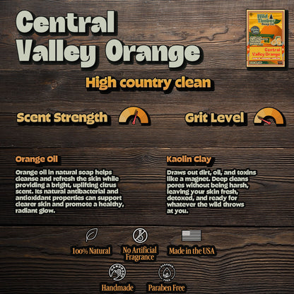 Central Valley Orange - Citrus Groves in Full Bloom