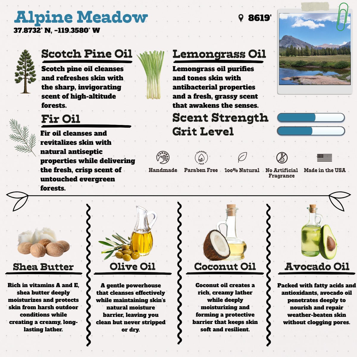 Alpine Meadow